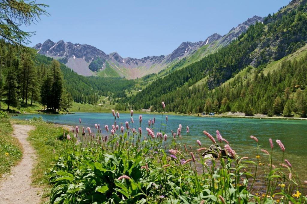 L'Oxalys Studio ! Coin Montagne - Pied Des Pistes & Centre Ville 布里昂松 外观 照片